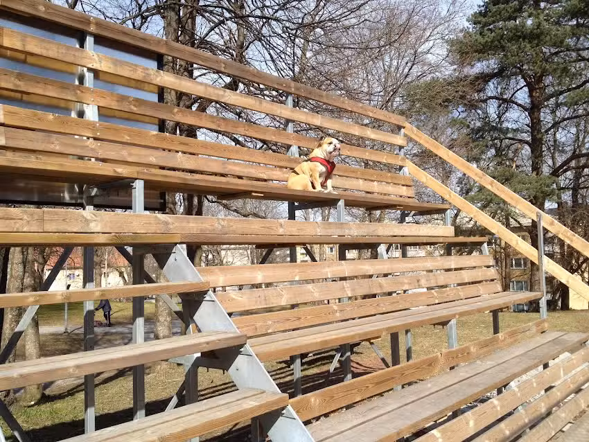 Badparkens tennisbanor