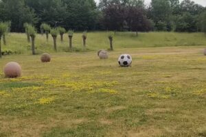 Flygfältsparken tennisbana