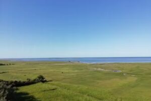 IFK Klagshamn, Klagshamns IP