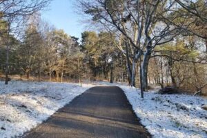 Linköpings Tennisklubb