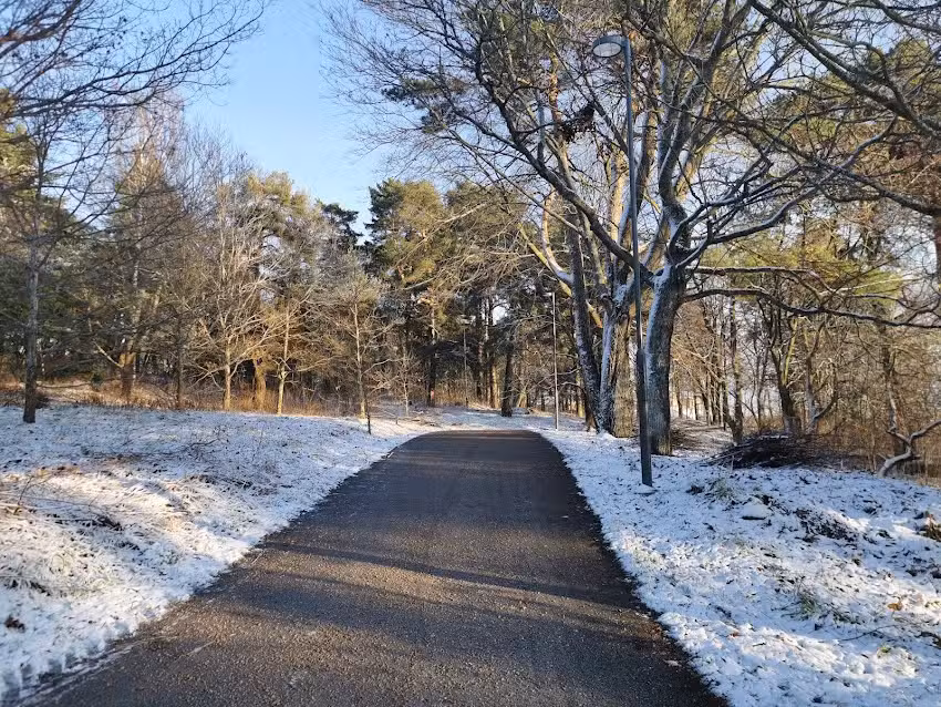 Link&ouml;pings Tennisklubb